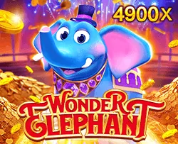 WONDER ELEPHANT